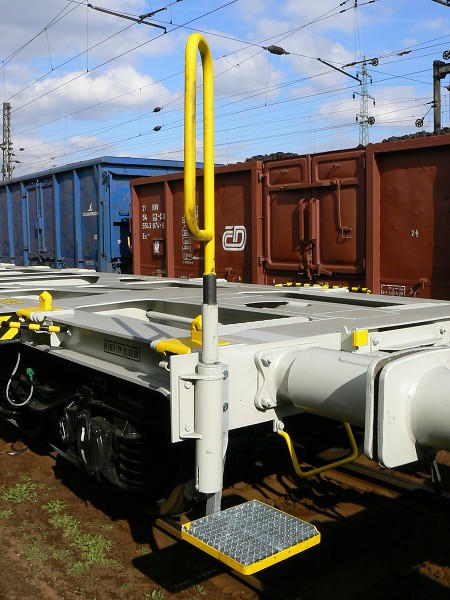 Sgns