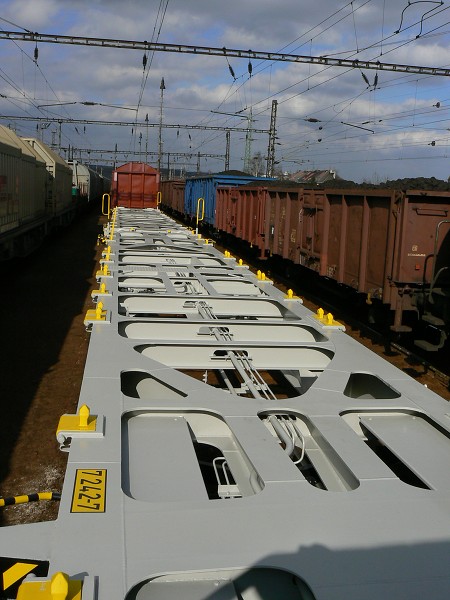 Sgns